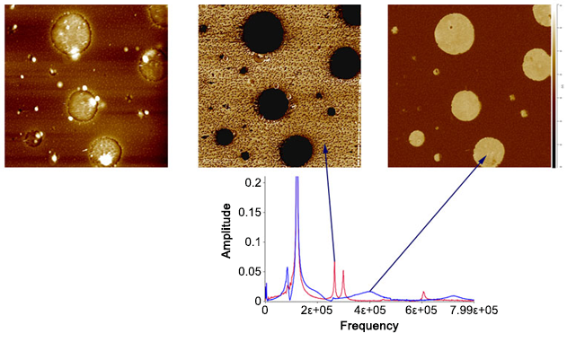 nanoIR - Résonance de contact Lorentz du mélange de polymère