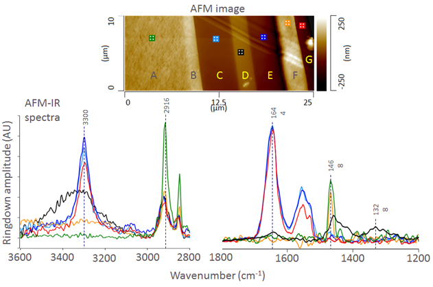 nanoIR - Film polymerique multicouche