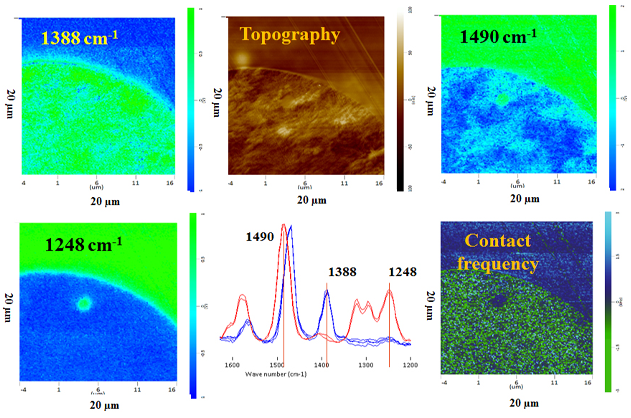 nanoIR - Mélange de polymères : Soufre contenant du poly(arylene)