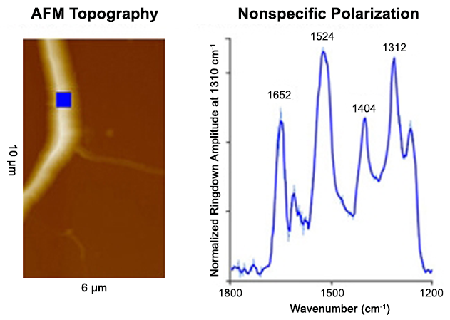 nanoIR - Fibre de Kevlar