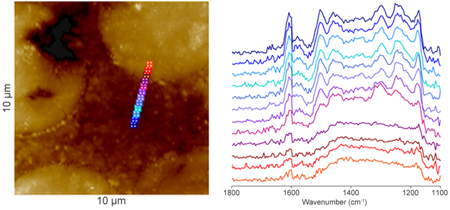 nanoIR - Composite fibre de carbone-époxy