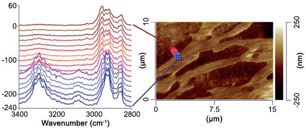 nanoIR - Mélange de polymères