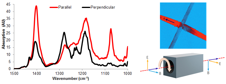 nanoIR - Contrôle de polarisation