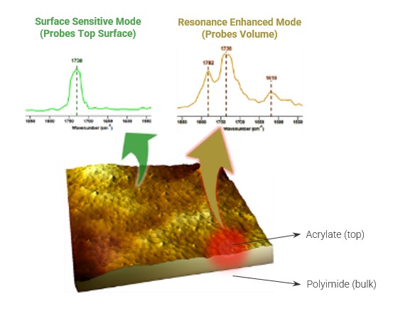 Annotated 3D AFM-IR chemical map with corresponding AFM-IR spectra graphs for surface sensitive mode and tapping mode characterization