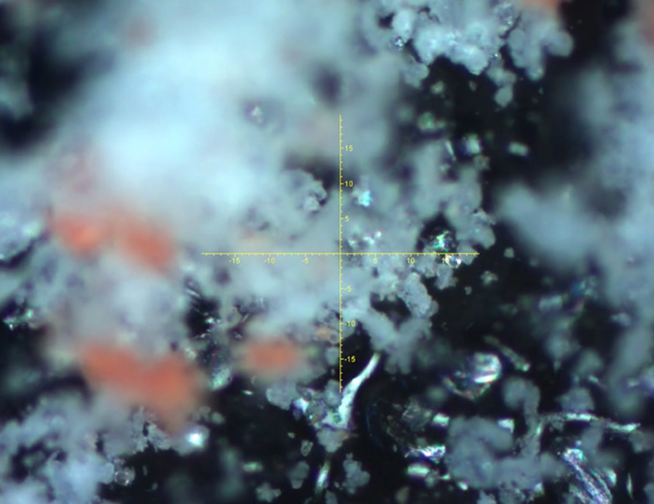 Image en live du microscope
