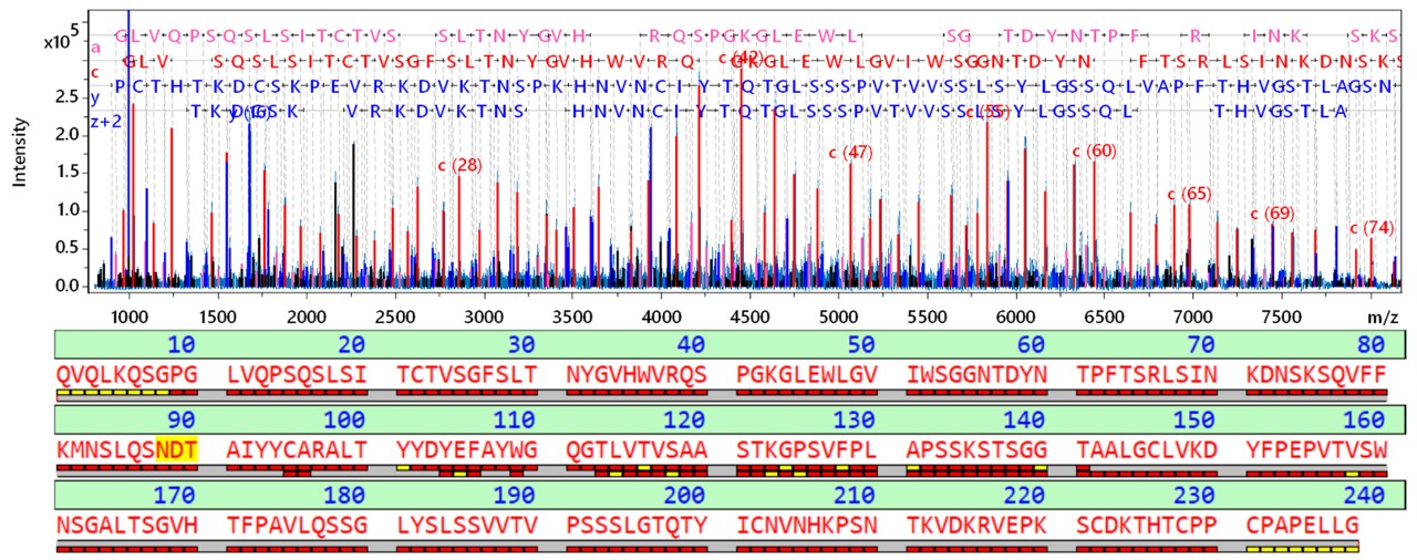 Middle-Down sequence analysis of deglycosylated Cetuximab Fd subunit fully confirms the sequence.