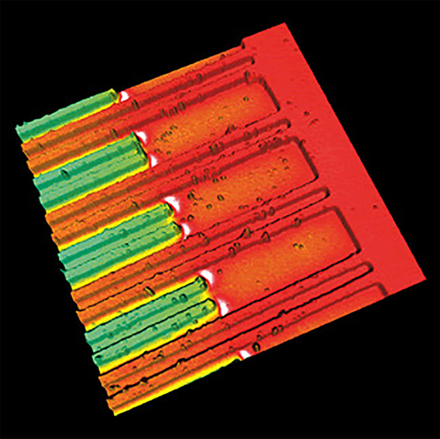 AFM kelvin probe microscopy image of an interdigitated electrode