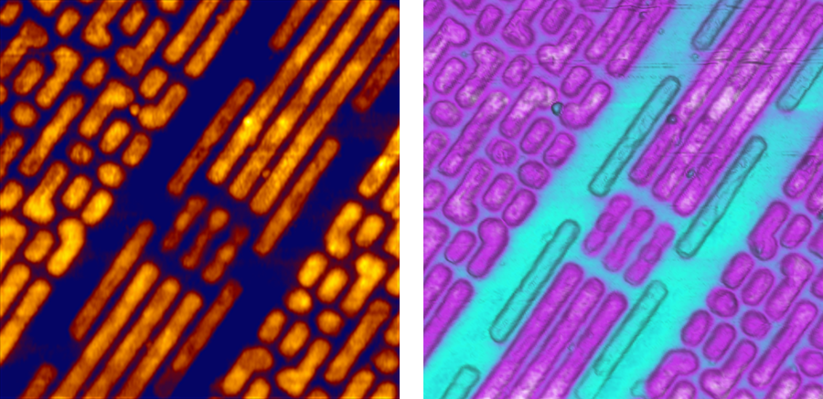 AFM electrostatic force microscopy images on SRAM from an Intel Core I5 Processor
