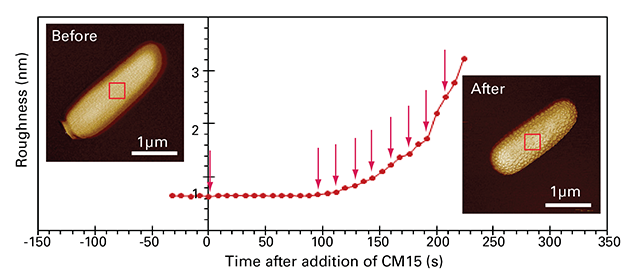 FastScan Bio E. coli surface roughness