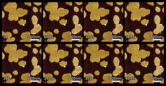 FastScan Bio lipid bilayers