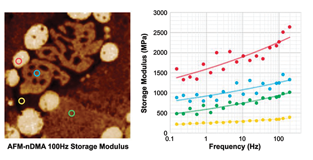 AFM-nDMA storage modulus