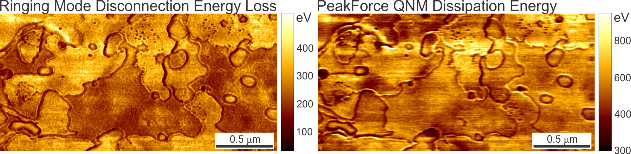 Images of Ringing Mode Disconnection Energy Loss d PeakForce QNM Dissipation Energy simultaneously collected on corneocytes. One can see a substantial difference between these two images. This is because the dissipation energy is calculated in the PeakForce Tapping mode as the difference between approaching and retracting trajectory of the AFM probe, which consists of a number of different contributions, the adhesion energy, the energy due to the viscous response of the sample material during the contact deformation, and finally, the energy defined as the disconnection energy loss.