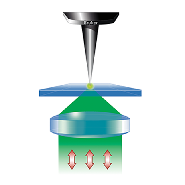 Innova-IRIS TERS on opaque samples