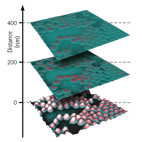 NanoWizard NanoScience - Microscopie à force électrostatique (EFM) sur des particules de NIPAM