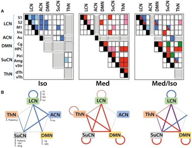 Illustrating functional networks and their interaction as derived from DR analysis