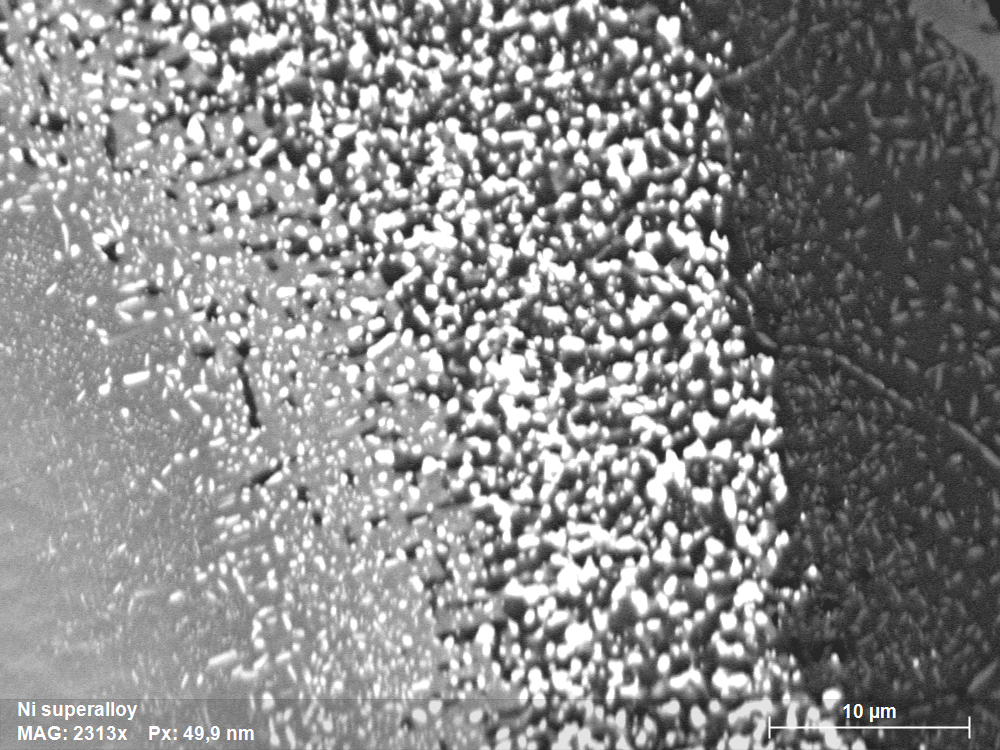 The phase contrast image acquired with ARGUS imaging detector reveals at least 4 different phases. Note the presence of numerous fine precipitates at the phase boundary.