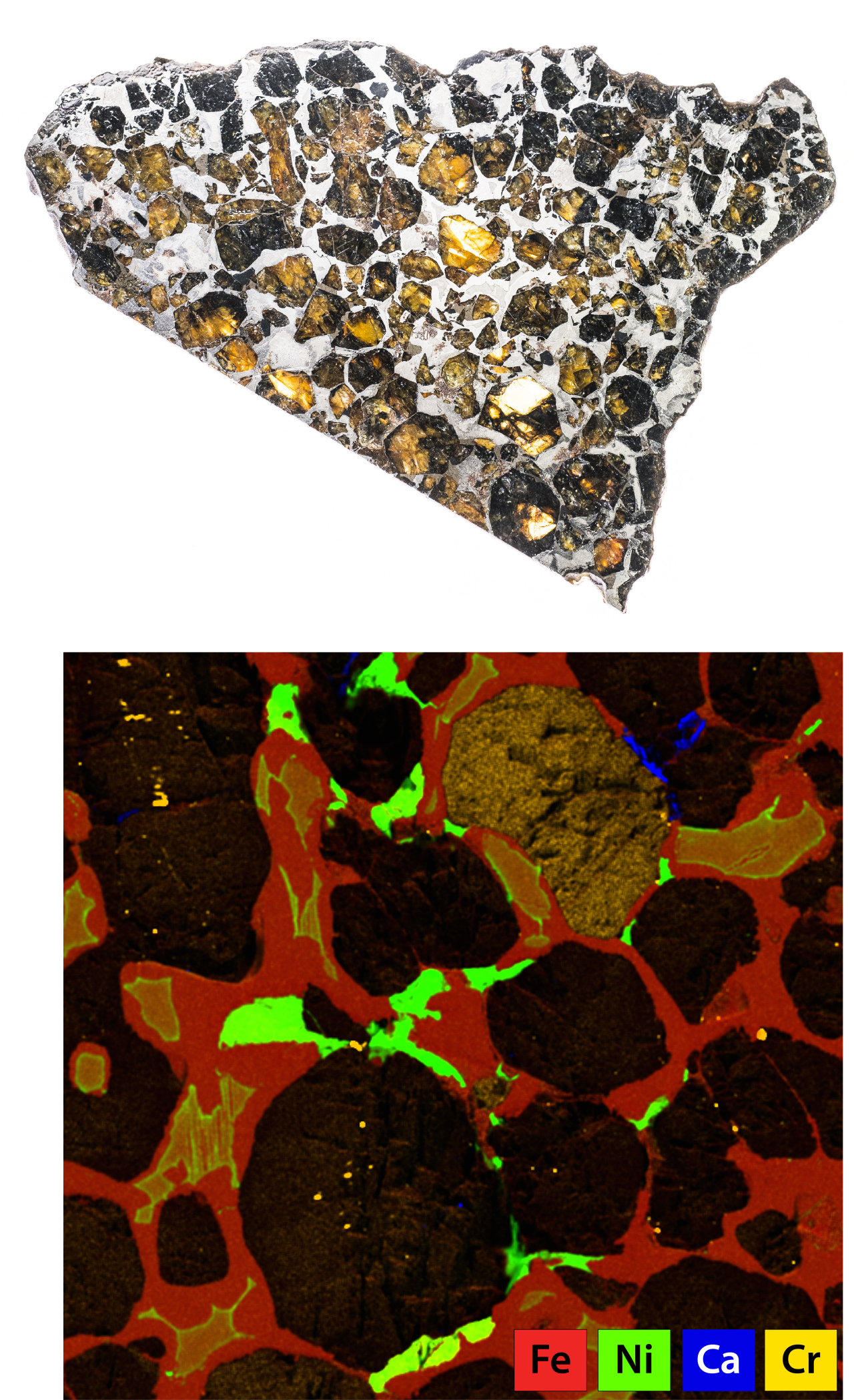 Polished surface of a pallasite