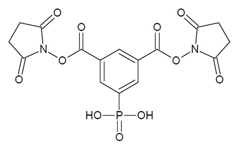 Figure 3: The structure of the PhoX crosslinker developed at the University of Utrecht by Albert Heck and Richard Scheltema. The phosphonate group that enables enrichment of the crosslinked peptides is at the bottom center of the structure. 