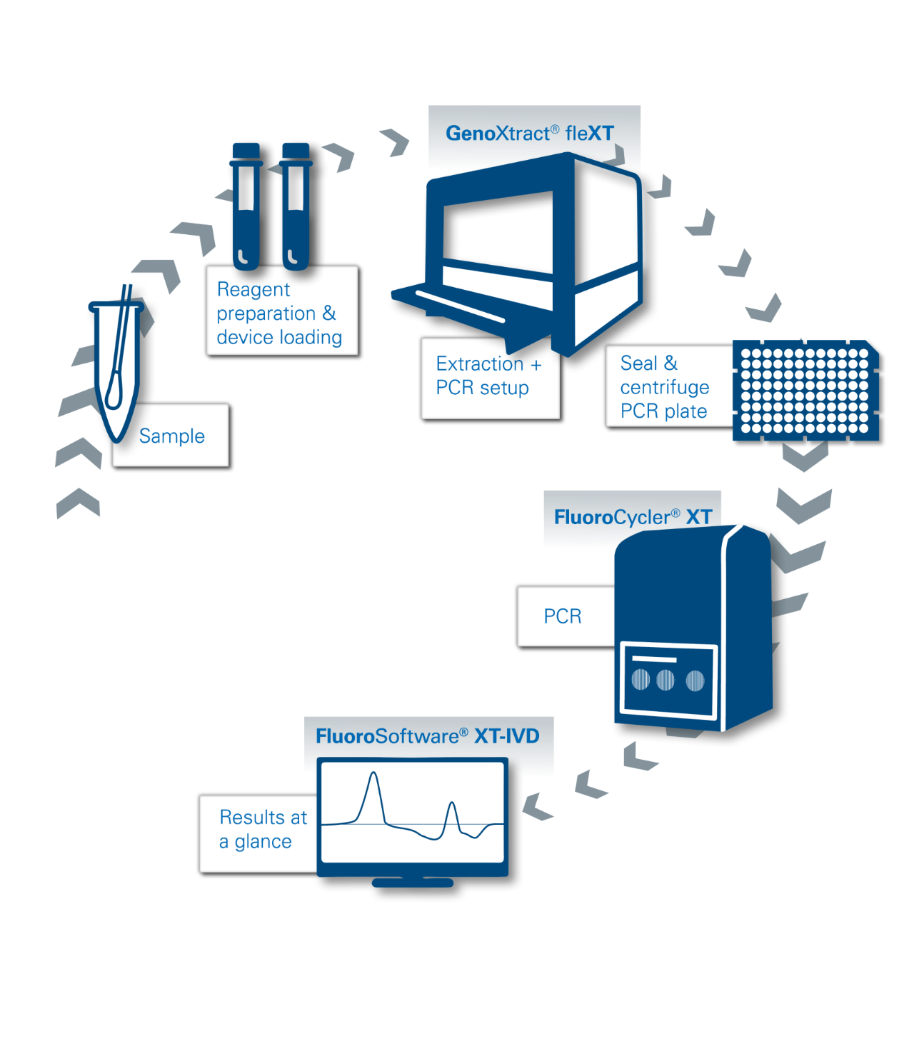 Streamlined workflow from Patient Sample to Result 
