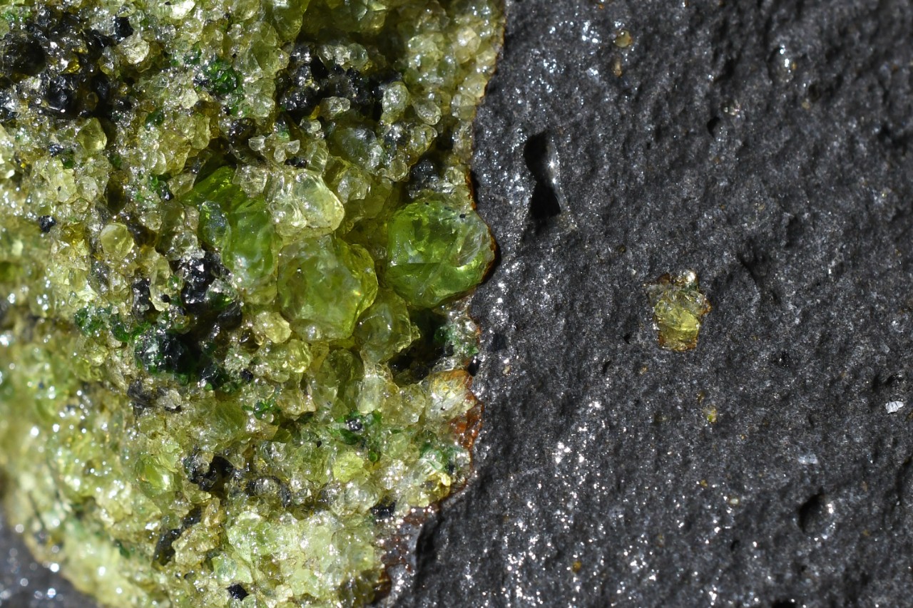 Large Peridot or olivine crystals in Lherzolite xenolith, San Carlos Apache Reservation, Arizona