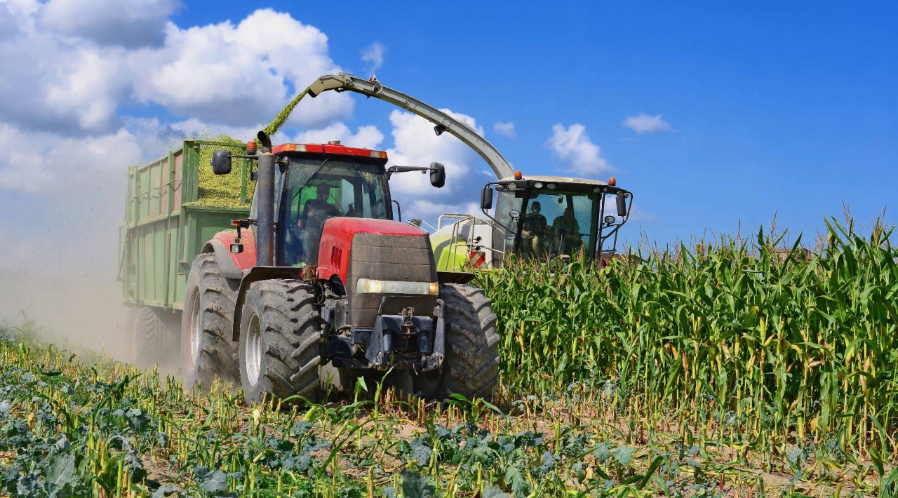 Rapid Analysis of Mineral Nutrients with XRF