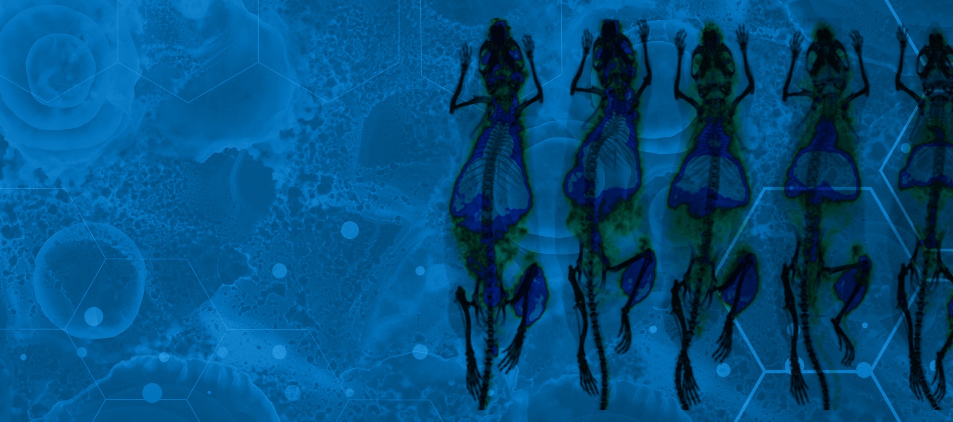 Expanding the Molecular Toolbox for Evaluating mRNA Vaccines 