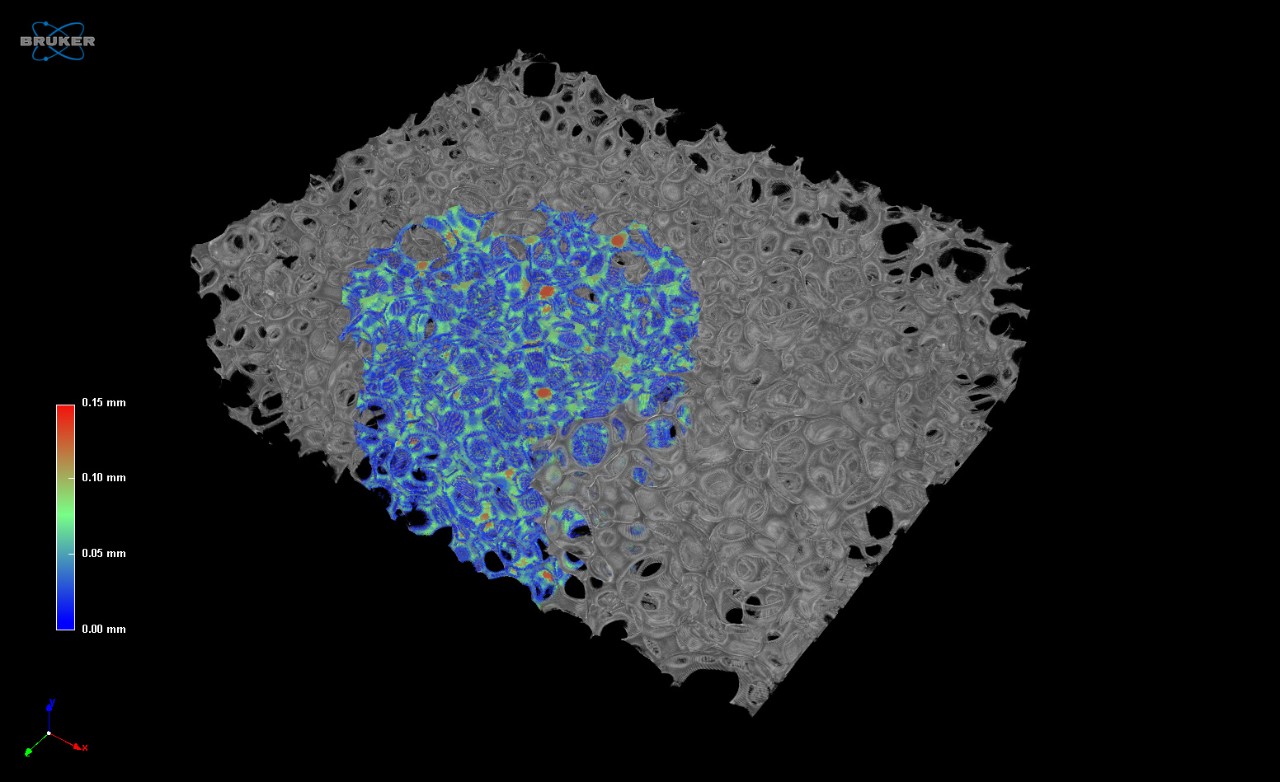 Porous Structures