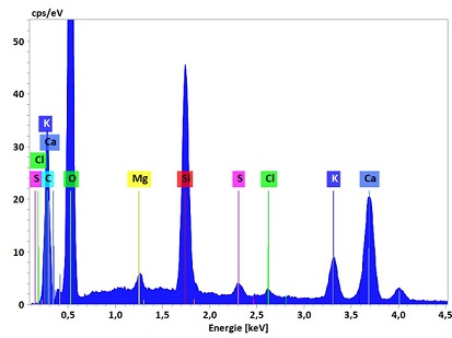Elemental Analysis of a Plant Sample using Dual EDS Detection | Bruker