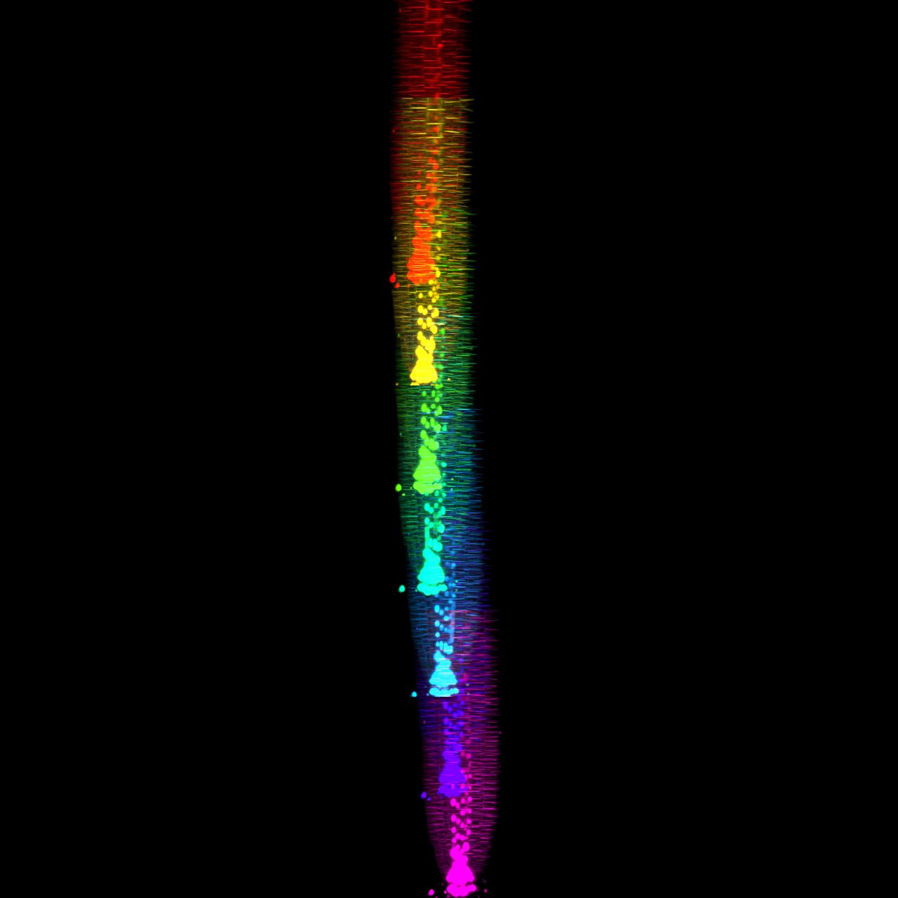 LuxBundle Remove Timepoint Temporal Colorcode