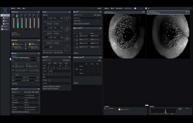Illumination and Detection