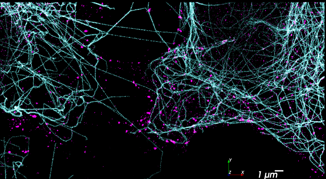 3D Multiplexed Super-Resolution Imaging with DNA-PAINT and the