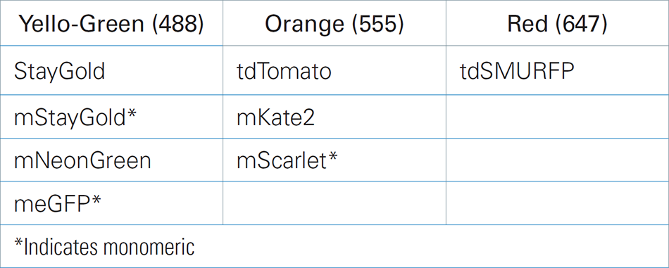 TABLE 1. Stably Fluorescent Protein Labels