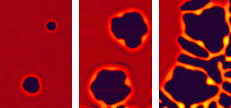 AFM image of melting and dewetting of a thin film of polystyrene on silicon over 40 minutes