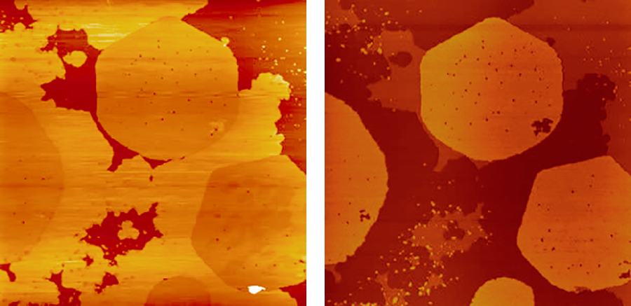 AFM height and phase images of a langmuir blodgett film sample