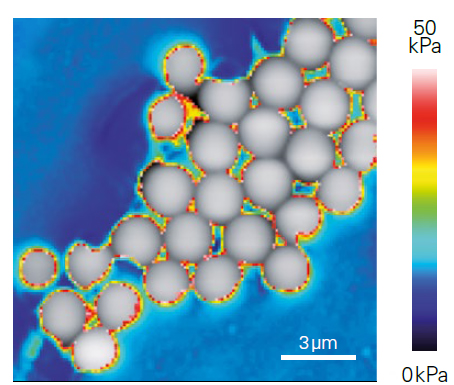 AFM image of silica beads