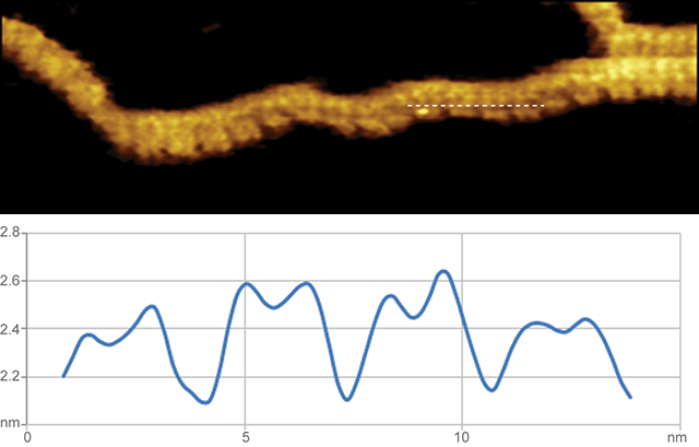 BioScope Resolve DNA double helix