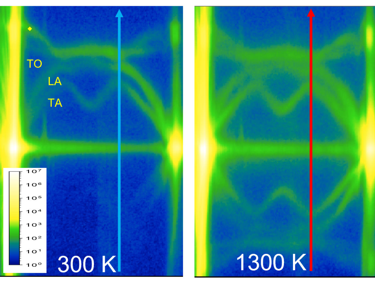 S(q, w) diagram of phonon dispersion curves in hexagonal Boron Nitride at two different temperatures 