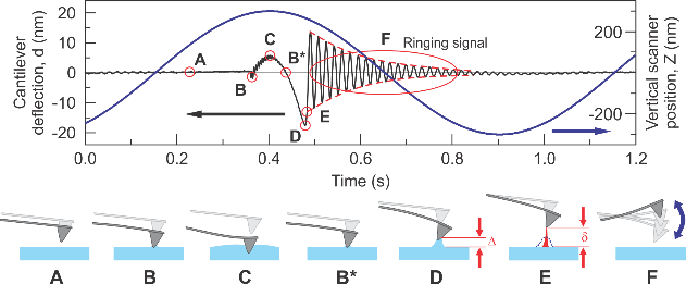 A schematic of the signal exploited in ringing mode. 