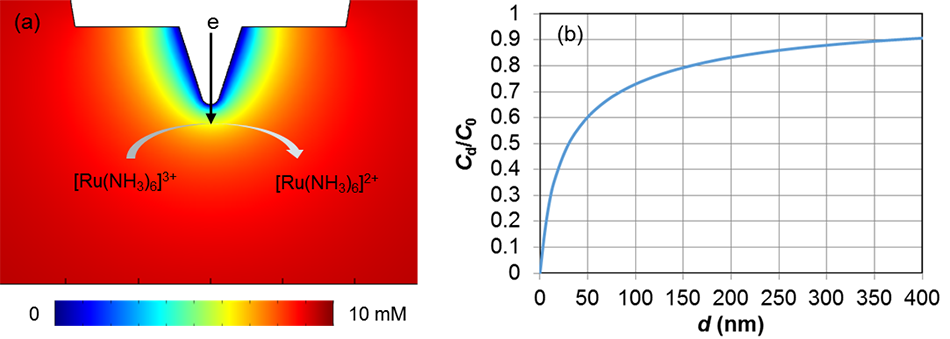 COMSOL simulation showing [Ru(NH3)6]3+ concentration profile and normalized concentration vs distance from electrode surface.