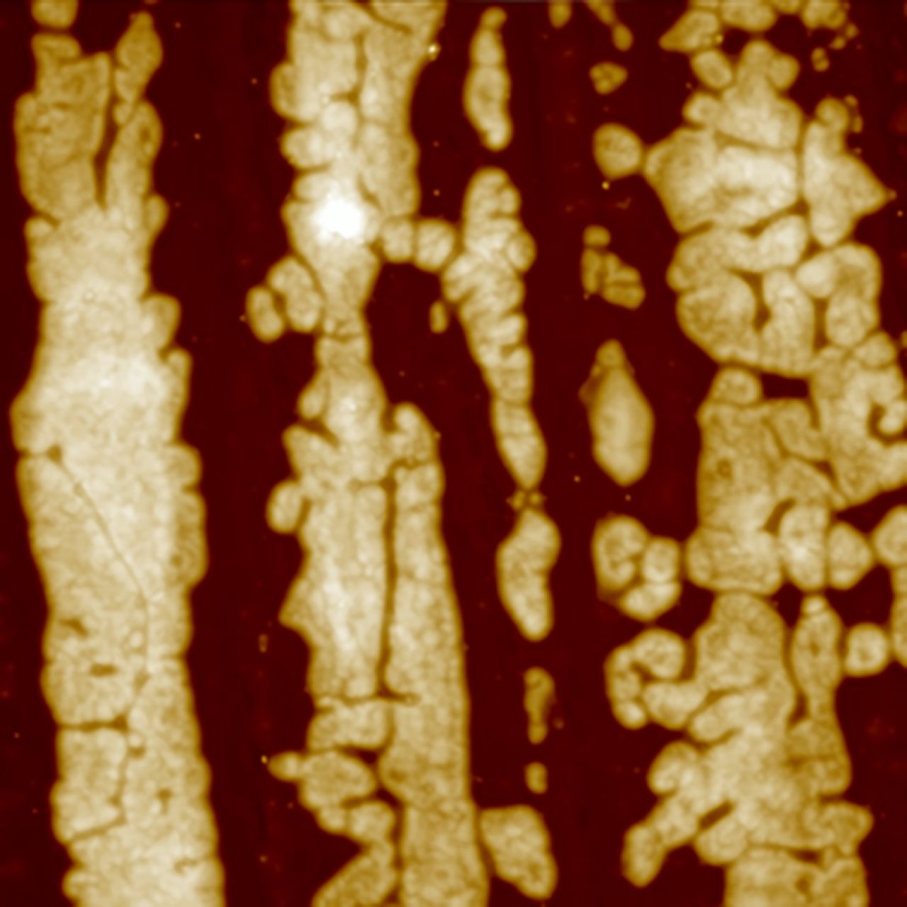 Lamellar aggregates of poly(diethyl siloxane) (PDES) on silicon imaged with ScanAsyst Plus in TappingMode, using an RTESPA probe. Image size 90 µm.