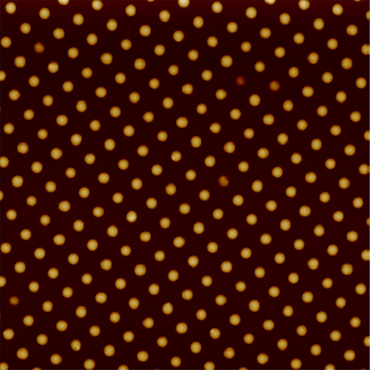 Topography image of a patterned array of nanopillars obtained with ScanAsyst Plus in TappingMode, using a TESPA probe. Several individual nanopillars within the array are observed to have structural defects. Image size 5 μm.