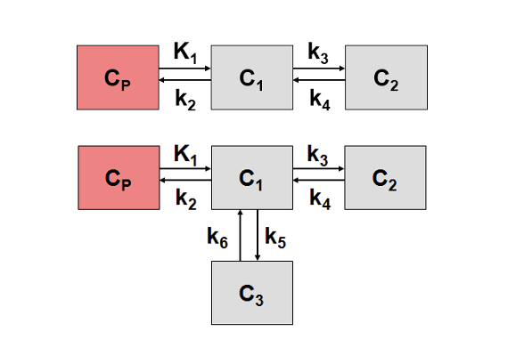 Kinetic modeling for full quantification