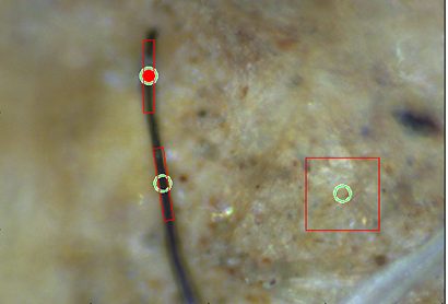Fiber in river sediment to be analyzed by FT-IR. Red dots indicate the measurement positions.