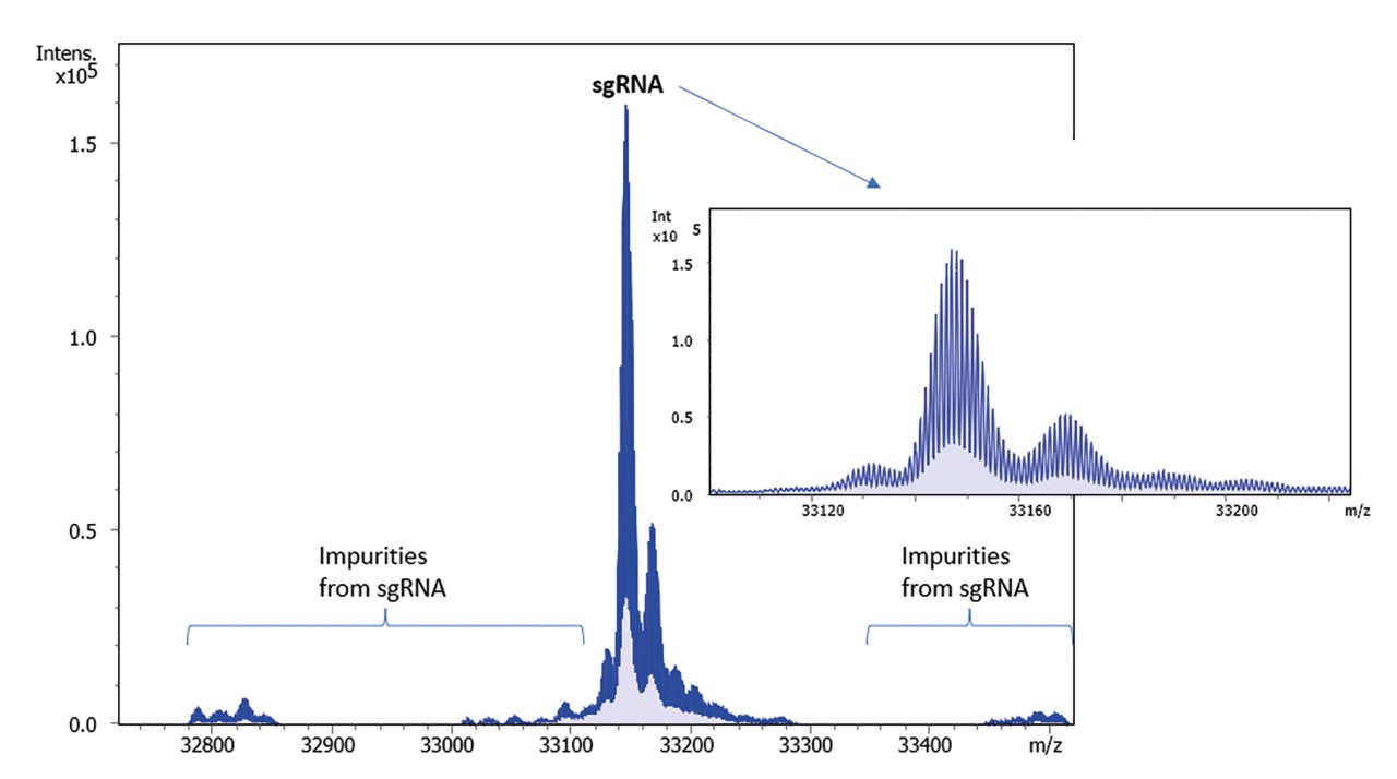 sgRNAと低濃度不純物のデコンボリューションスペクトル