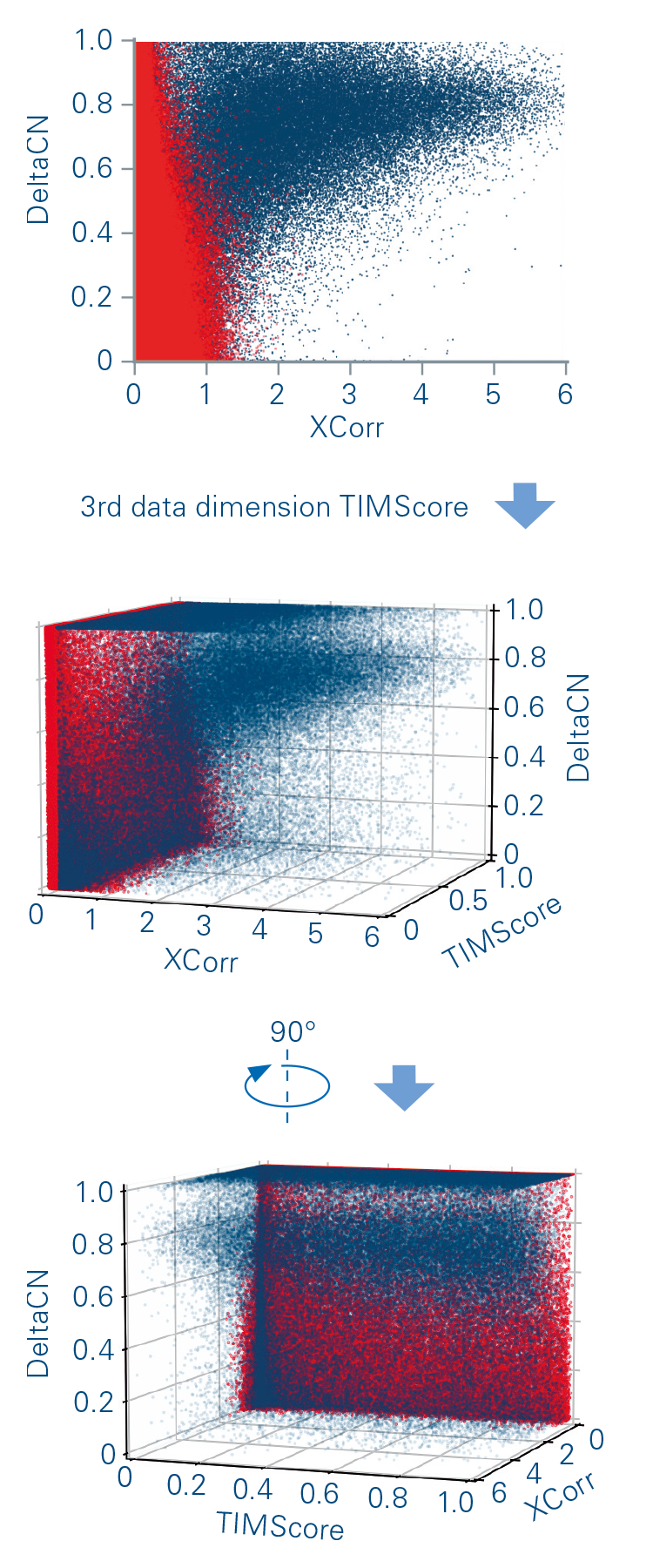 TIMScore