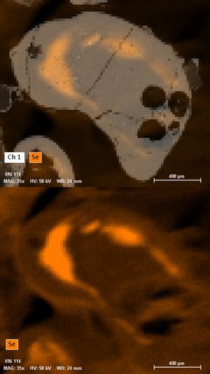 Expanding your SEM Capabilities with Micro-XRF for SEM | Bruker