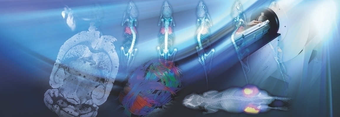 The Role of Preclinical PET/SPECT/CT Image in Translational Cancer ...