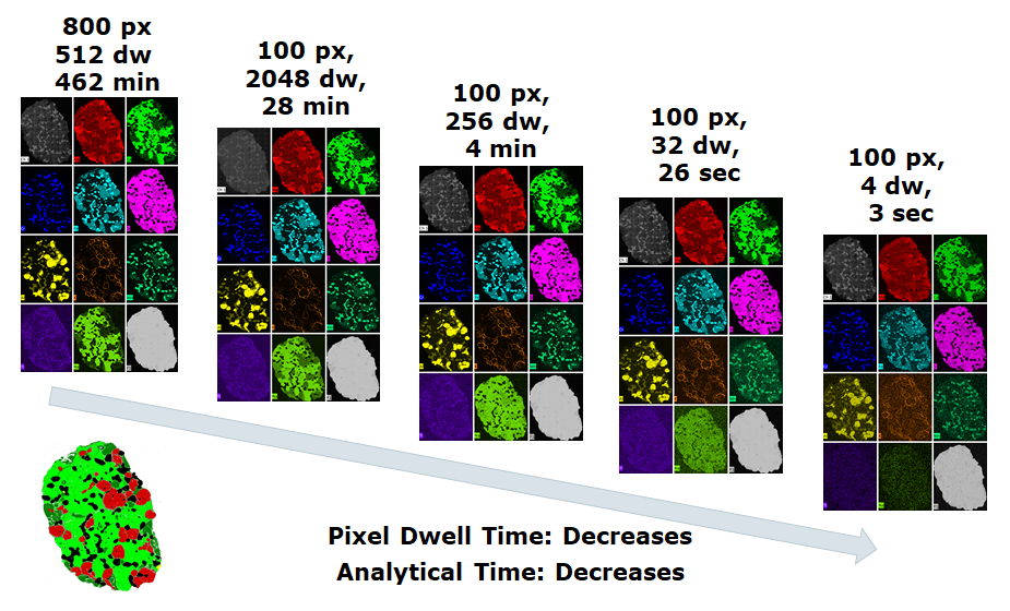 図1：異なる解像度(px)とピクセルあたりのドウェル時間(dw)で取得した一連のX線元素マップ。左下の画像は、マントルかんらん岩標本の位相マップの結果を示しています。