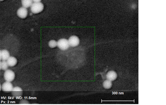 フィルター材料上のシリコンナノ粒子のSE画像