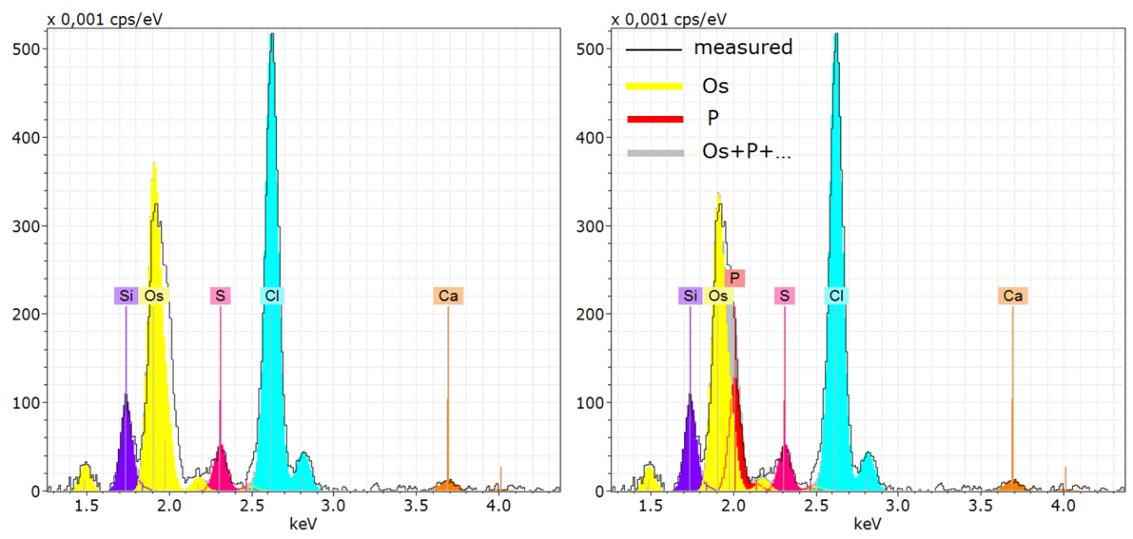 図2：ESPRITソフトウェアを用いたオスミウムとリンの元素線デコンボリューション